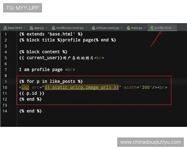 dqtvcom斗球：平台功能介绍与用户使用指南