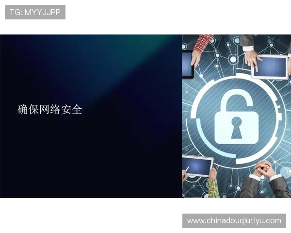 斗球tv官网安全保障措施，确保用户信息安全与平台稳定运行