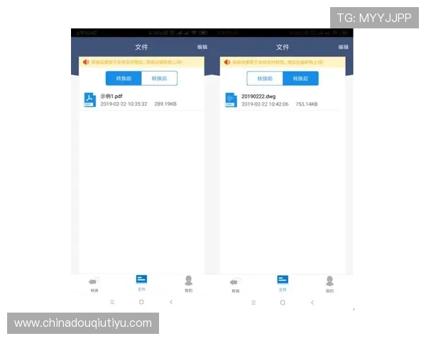 斗球极速版怎么下载到手机上遇到问题如何快速解决
