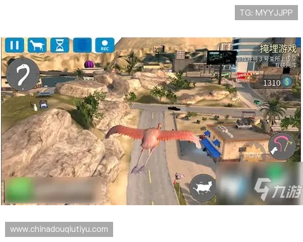 dqtv斗球官网最全游戏攻略与技巧分享提升你的竞技水平