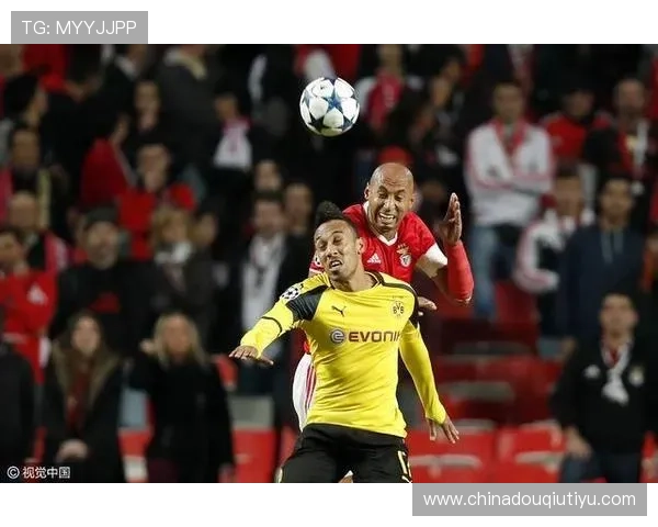 官方推荐斗球直播app电脑版下载地址,提供优质直播体验与丰富赛事资讯