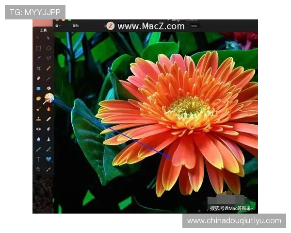 斗球app苹果手机下载安装详细教程及最新版本获取方法指南