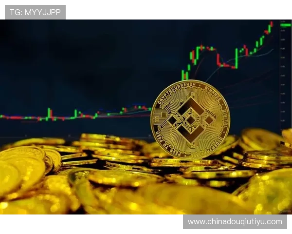 dqiuvip斗球官网安全保障措施与账号保护策略分析